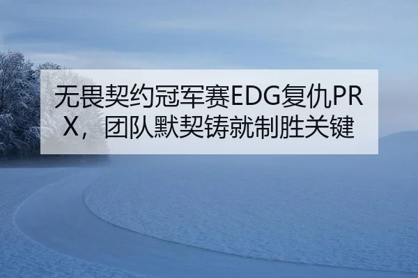 无畏契约冠军赛EDG复仇PRX，团队默契铸就制胜关键