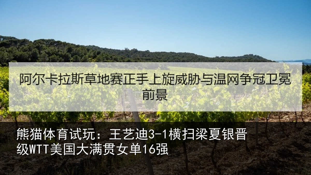 熊猫体育试玩：王艺相关情况WTT美国大满贯女单16强