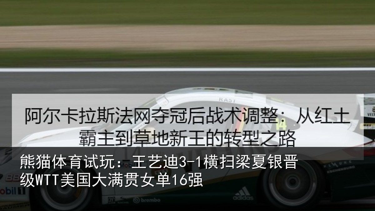 熊猫体育试玩：王艺相关情况WTT美国大满贯女单16强
