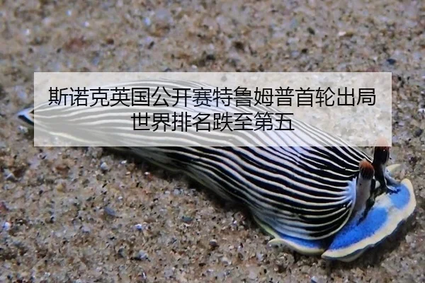 si-nuo-ke-ying-guo-gong-kai-sai-te-lu-mu-pu-shou-lun-chu-ju-shi-jie-pai-ming-die-zhi-di-wu-3-840.jpg