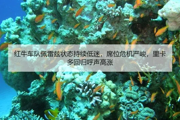 红牛车队佩雷兹状态持续低迷，席位危机严峻，里卡多回归呼声高涨