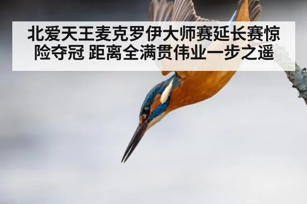 北爱天王麦克罗伊大师赛延长赛惊险夺冠 距离全满贯伟业一步之遥