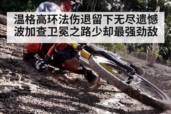 温格高环法伤退留下无尽遗憾波加查卫冕之路少却最强劲敌