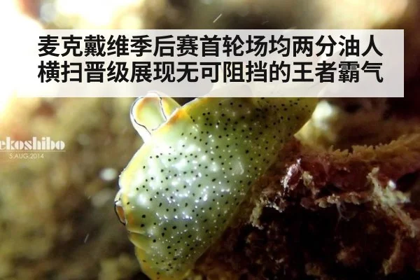 麦克戴维季后赛首轮场均两分油人横扫晋级展现无可阻挡的王者霸气